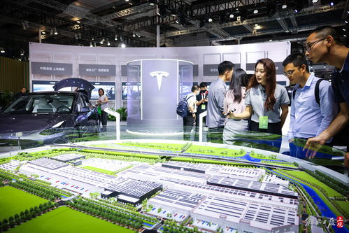 首屆上海碳博會展示碳中和科技風向，軟件技術開發成重要推動力